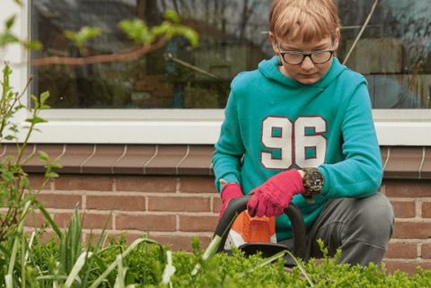 Capelle Accent Praktijkonderwijs In Capelle A D IJssel